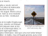 imageWithCaptionAndLink An image with a caption and a link
