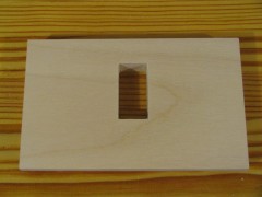 The switch mounting Mortise.